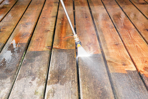 Animal Enclosure Cleaning in Powderly, TX